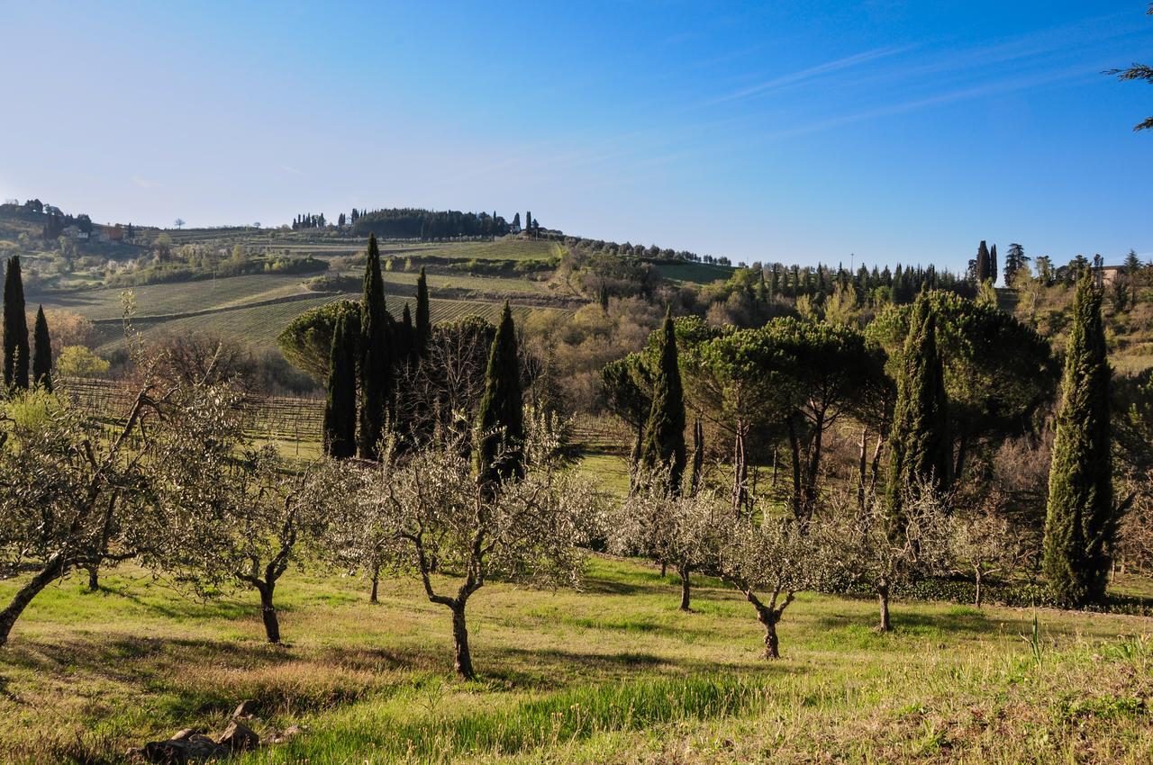 B&B Fagiolari Greve in Chianti Kültér fotó